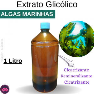 EXTRATO GLICÓLICO DE ALGAS MARINHAS 1 LITRO