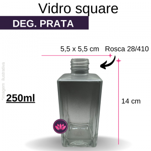 VIDRO SQUARE 250 ML B/28 PRATA